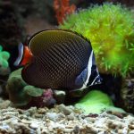 pexels-saturnus99-9004399