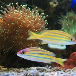 pexels-saturnus99-9004432